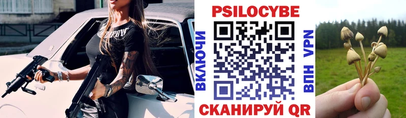 Купить  Петушки  Псилоцибиновые грибы прущие грибы 